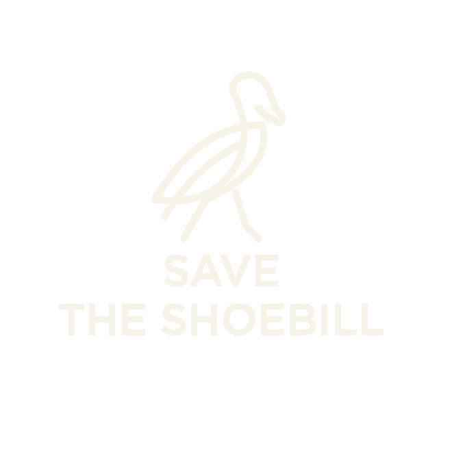 Save the Shoebill